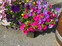 5 - 6 August 2017 Les Diablerets